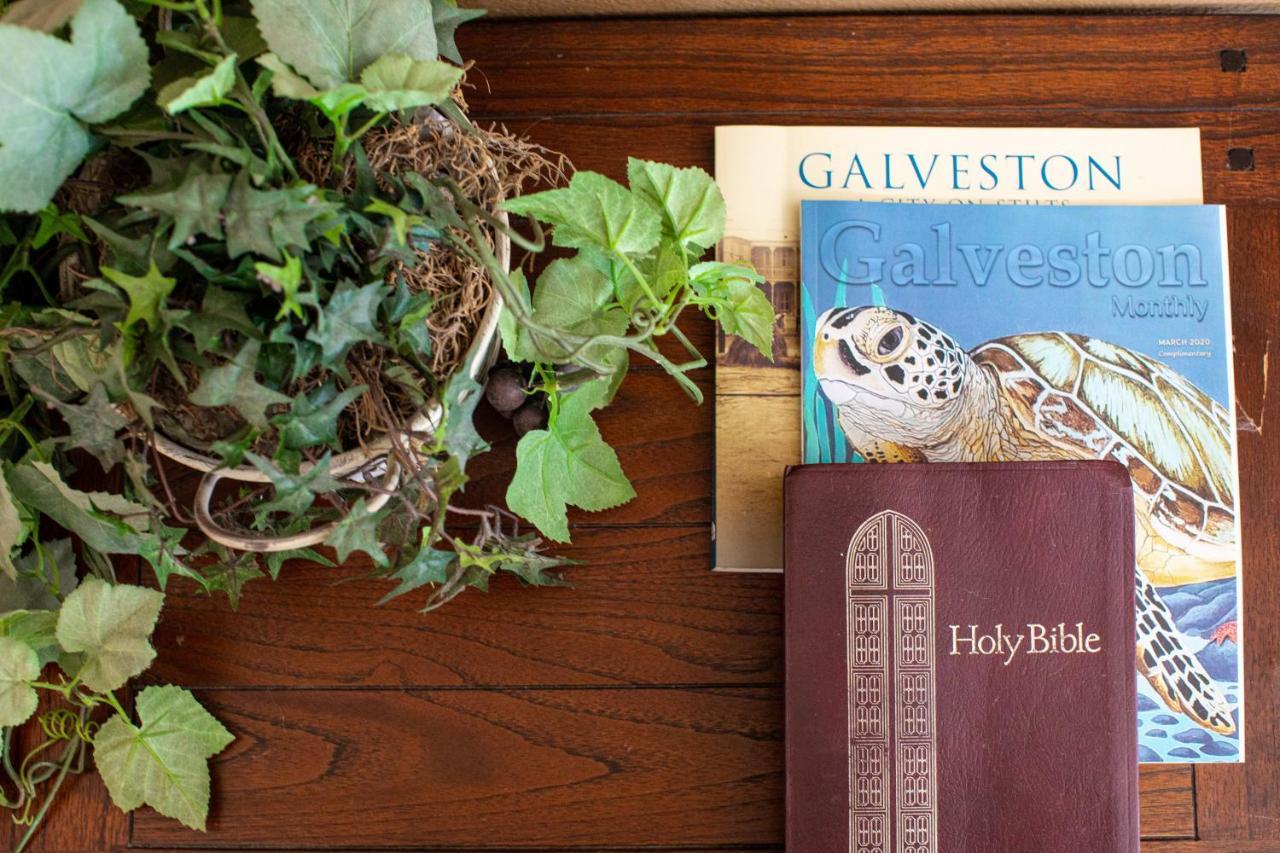 Relax At Our Beach Haven - Pet Friendly Galveston Eksteriør billede